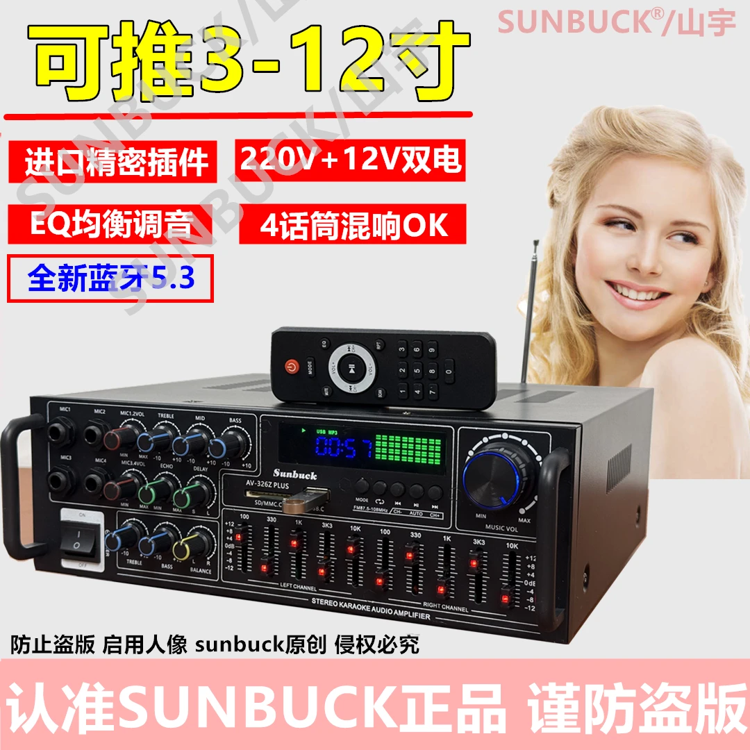 220V家用功放大功率蓝牙5.3均衡调节12V广场舞车载户外多功能收音