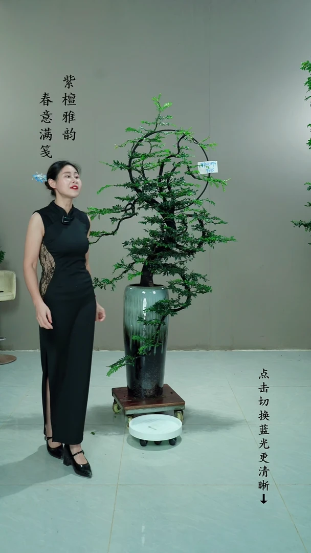无花朵用****1花好月圆造型一颗