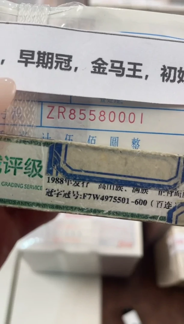 M，05，早期冠，金马王，初始，ZR85580001