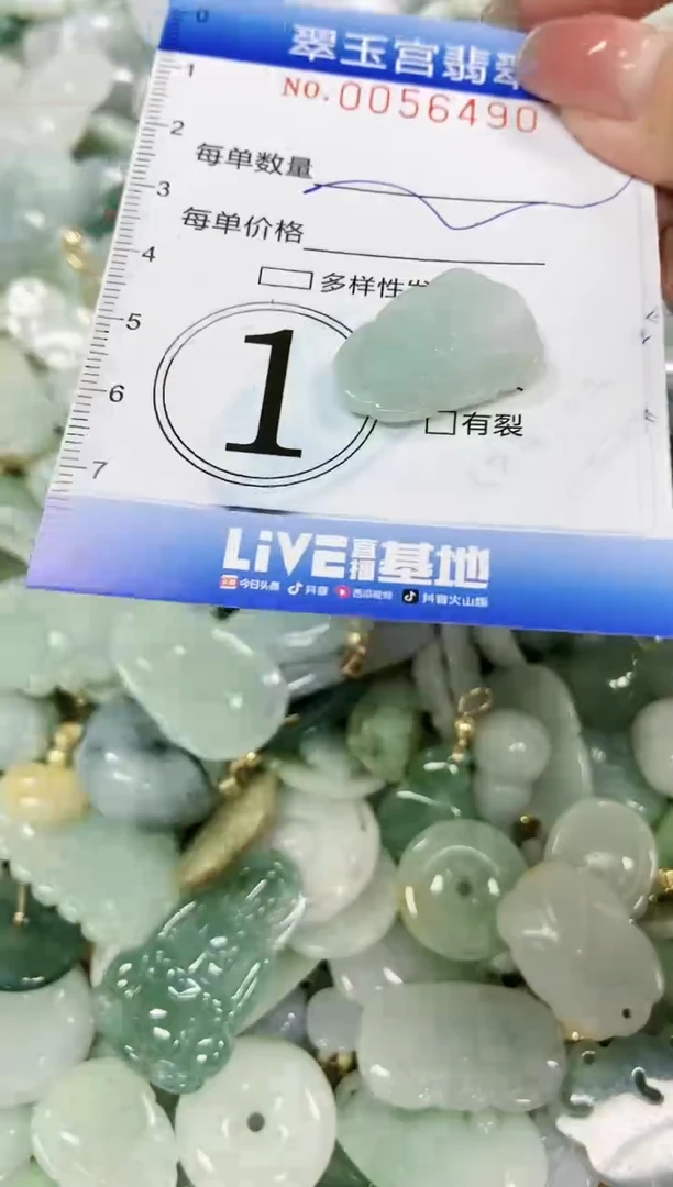 【闪购商品】翡翠颈饰未镶嵌闪购0056490