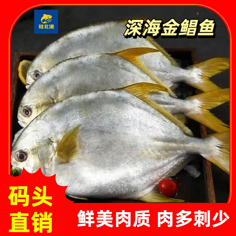 广西北部湾深海野生金鲳鱼鲜活速冻营养美味顺丰包邮