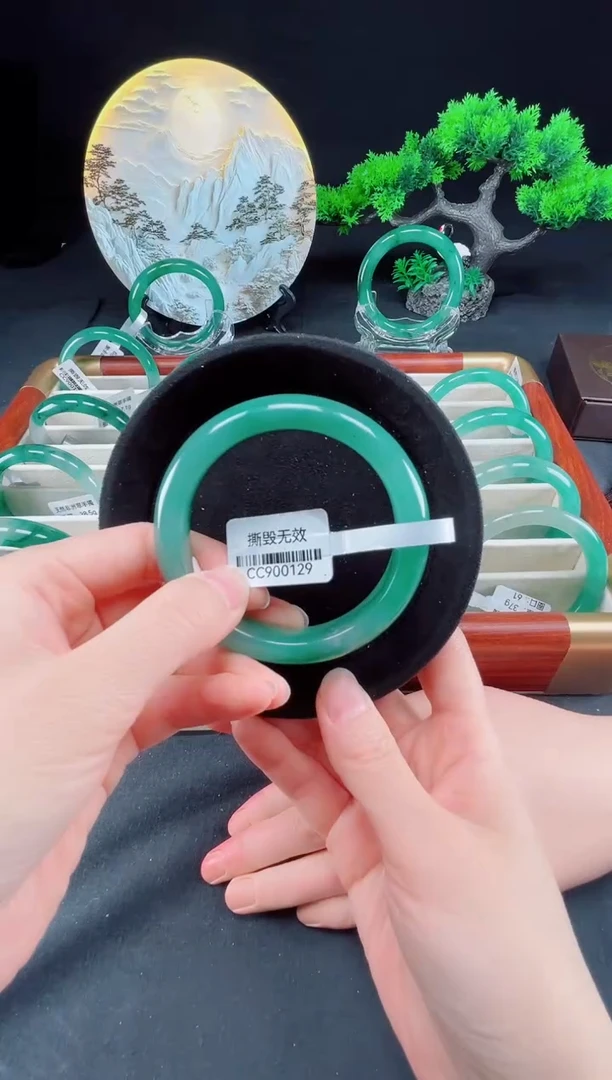 未镶嵌手镯石英质玉（非洲翠）真品上等纯天然非洲翠玉手镯石英质玉