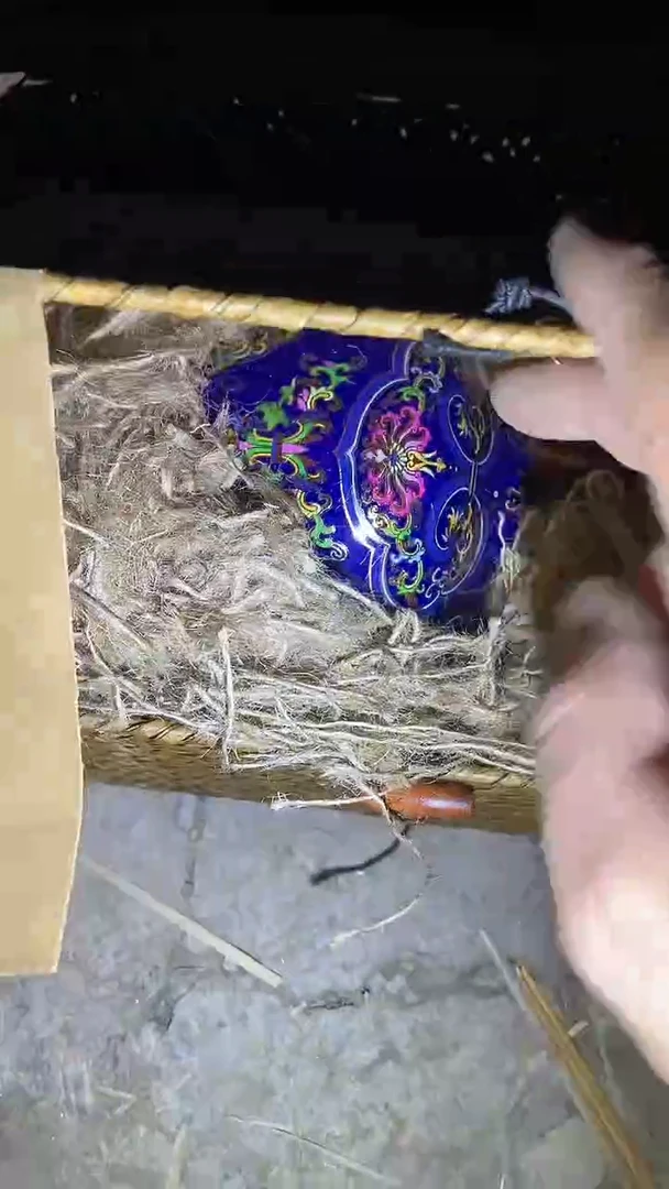 71啊啊啊啊啊啊啊啊啊啊啊啊啊