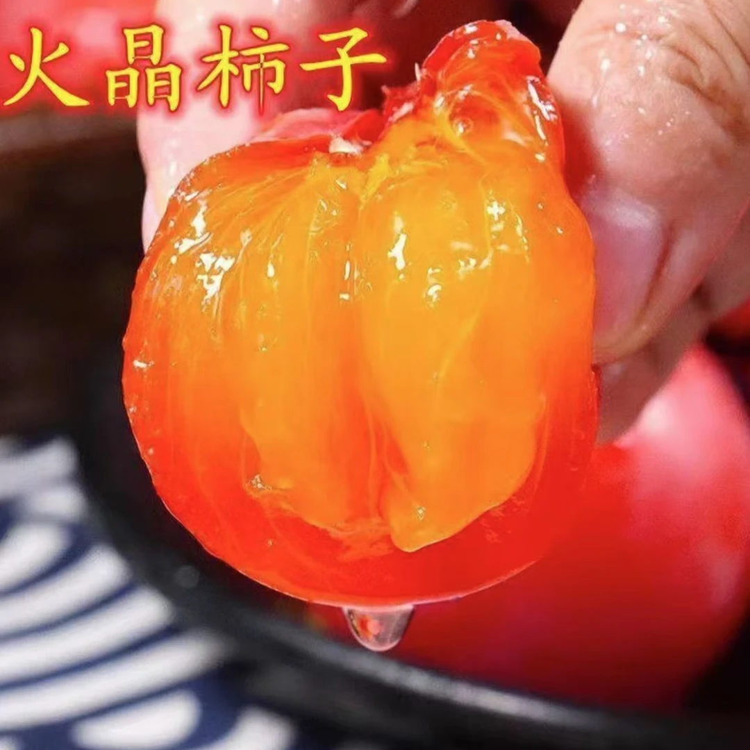 陕西临潼嫁接无核火晶罐柿子树苗南北方庭院阳台盆栽当年结果耐寒