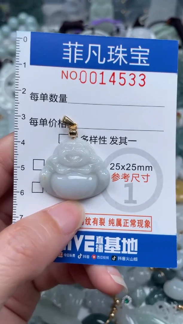 颈饰未镶嵌翡翠14533