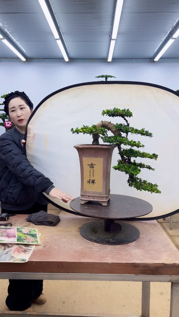 无花朵一物一拍，所见即所得