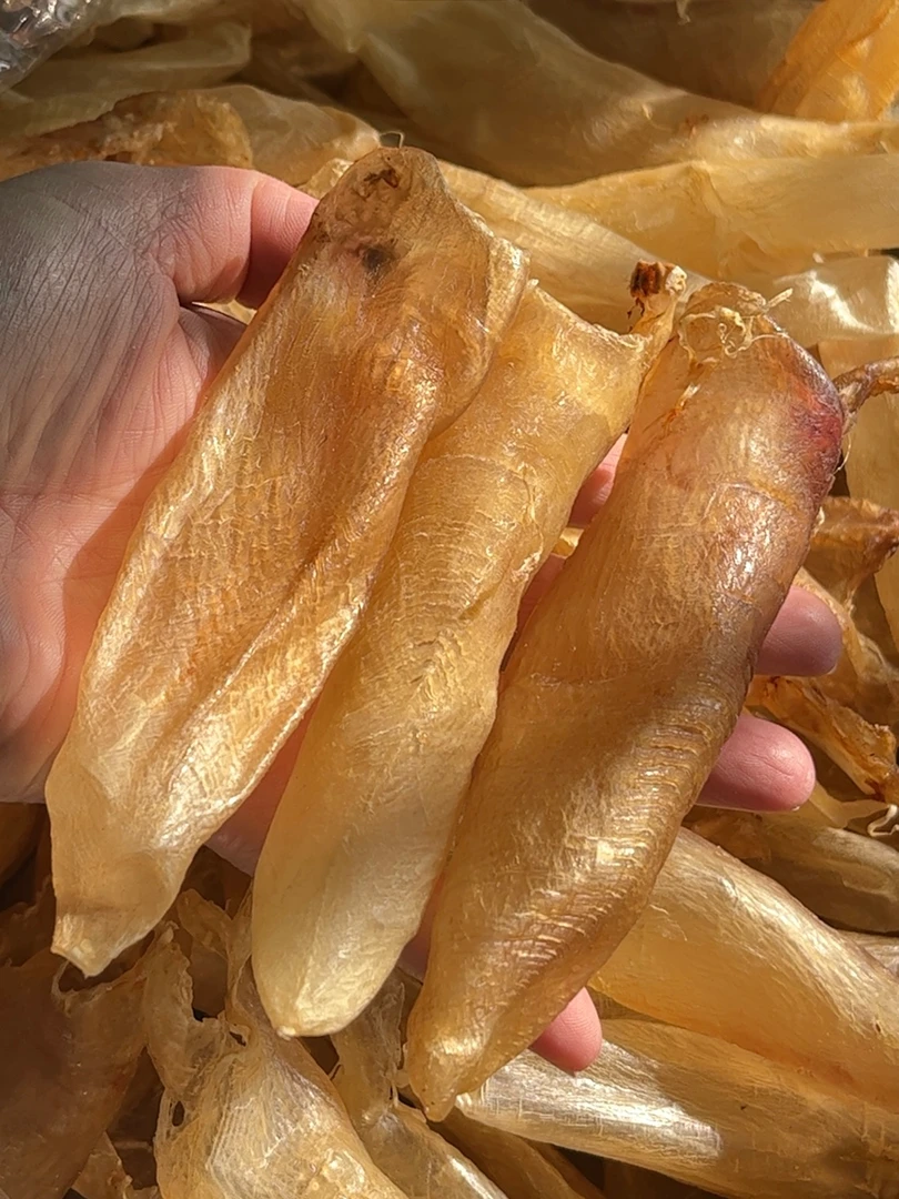 【鱼胶君 】正越蜘蛛胶/越白花胶 250-500g