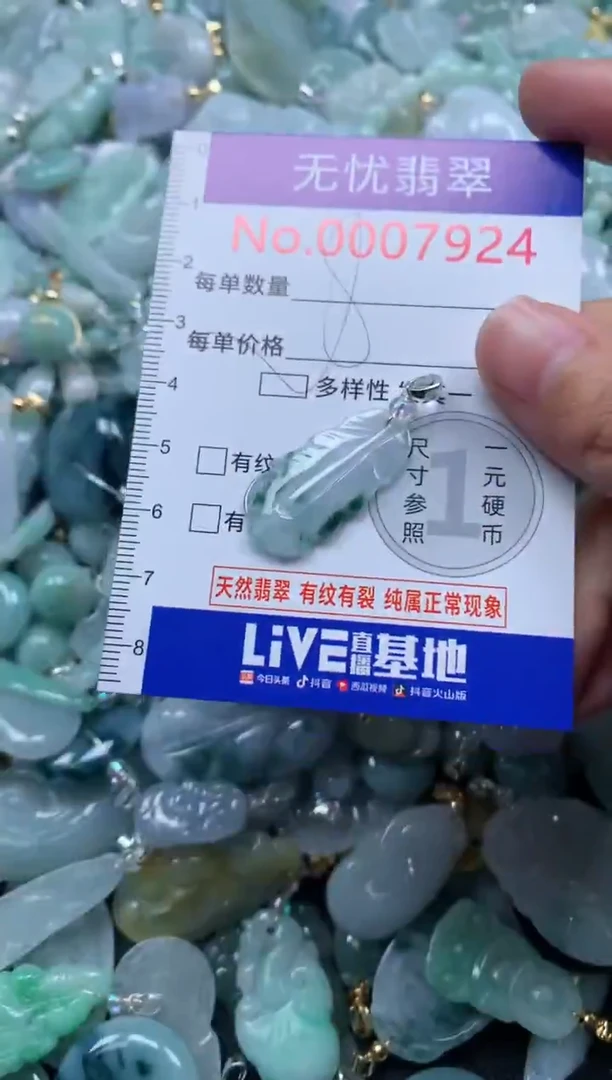 颈饰未镶嵌翡翠7924