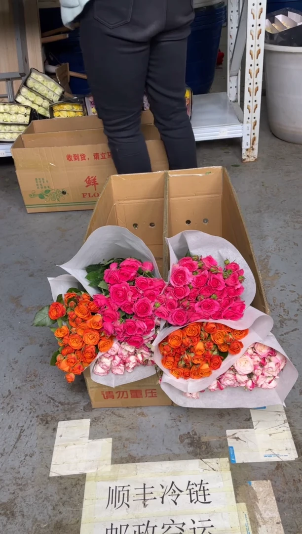 折射10枝+ 橙色芭比10枝+苏菲10枝