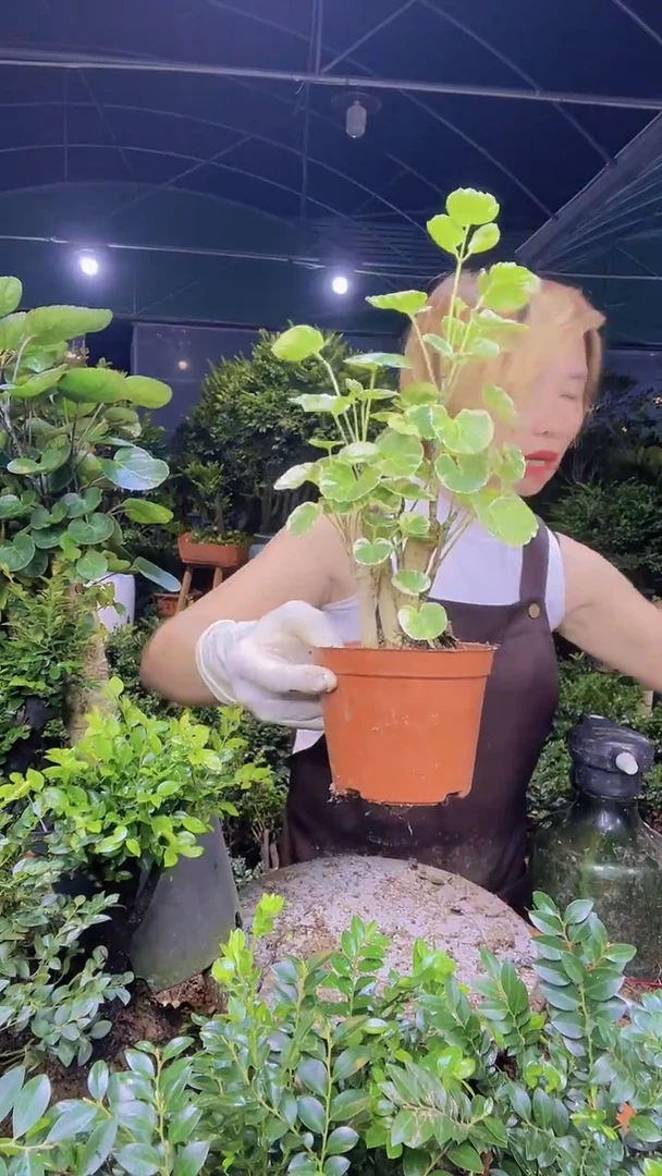 完全开放111111111111