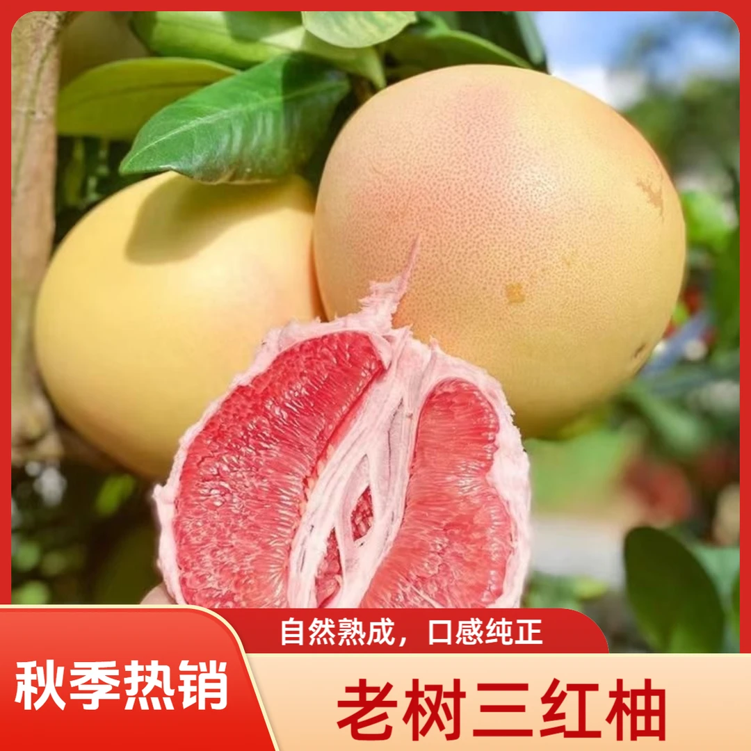 [三红柚]福建平和琯溪蜜柚红心红肉蜜柚新鲜采摘坏果赔付包邮1019