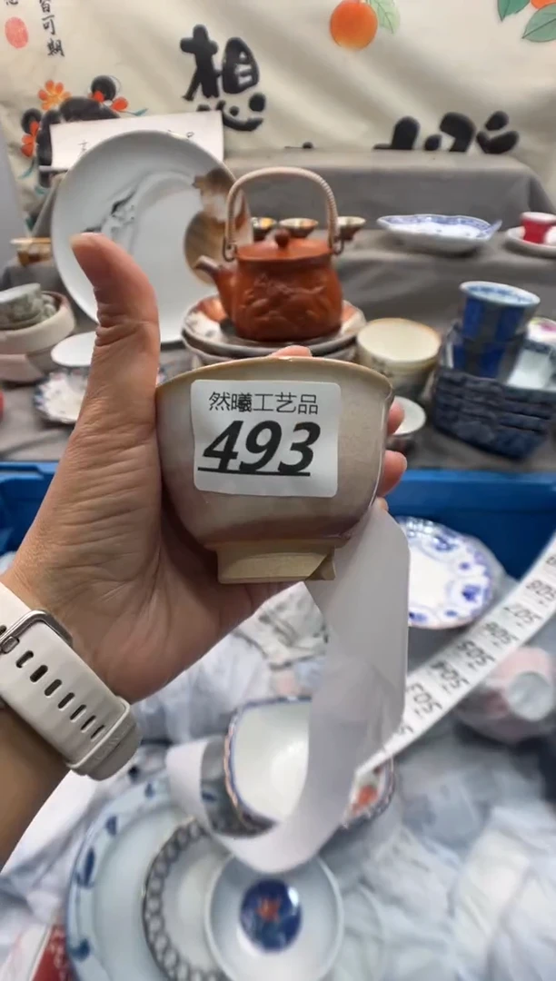 瓷片大***卫493