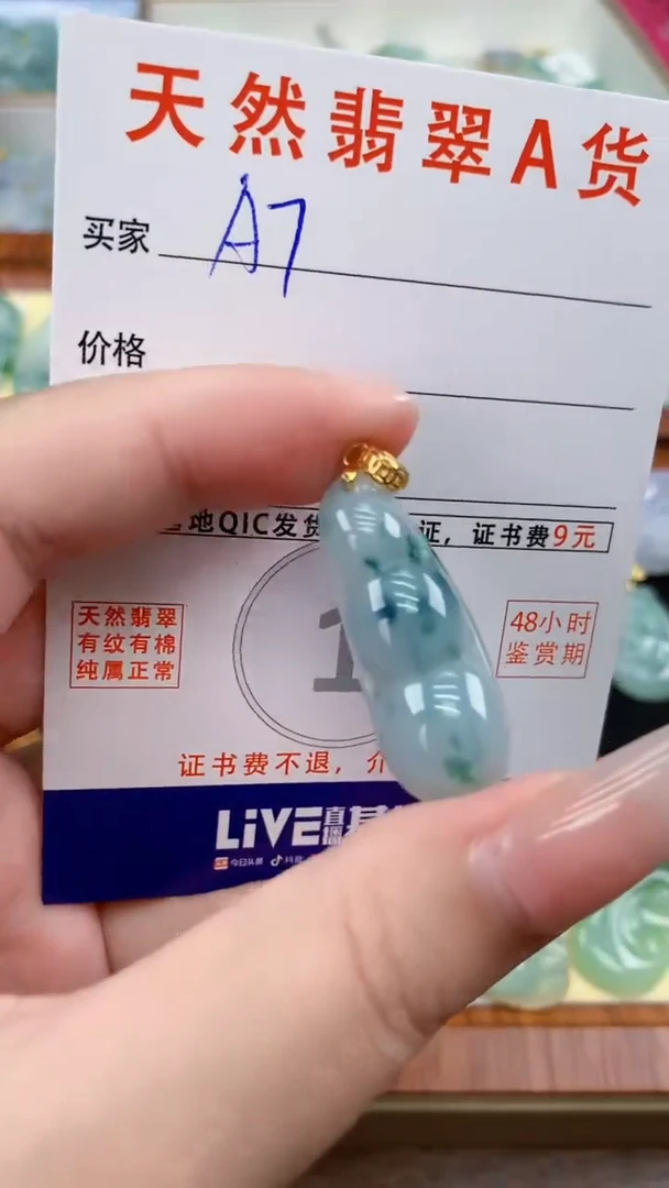 颈饰未镶嵌翡翠天然A货翡翠挂件