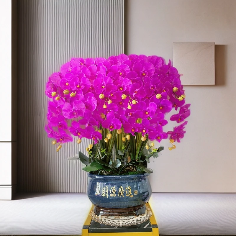 <春兰报喜>新款超大蝴蝶兰保湿仿真花客厅酒店办公室前台样板间