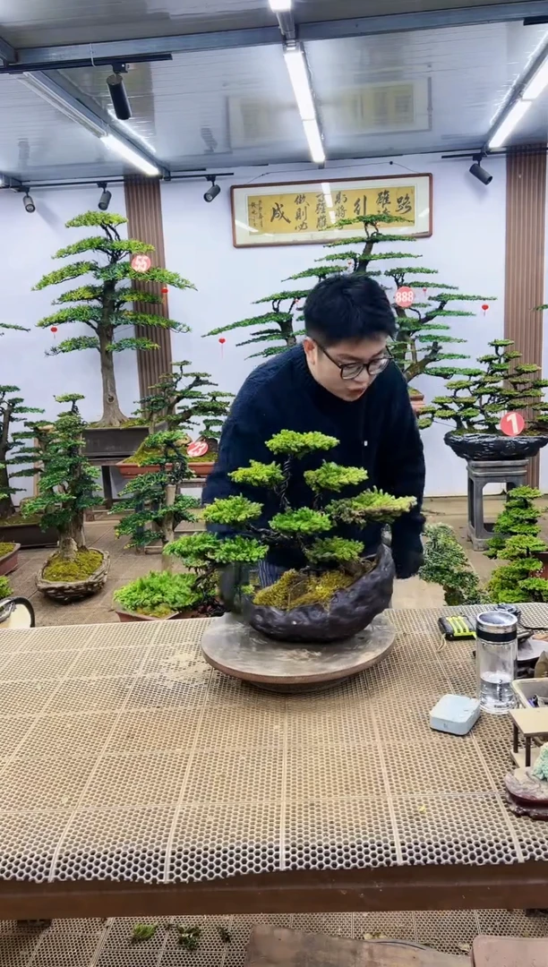 【闪购商品】0000000