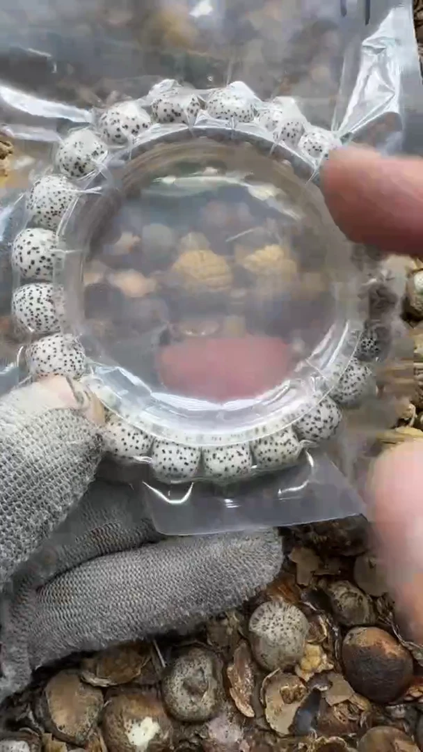 【闪购商品】星月菩提吊坠青稞手作11号