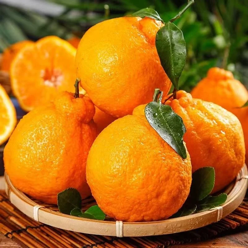 国庆一号耙耙柑丑柑桔丑橘子新鲜应季水果整箱橘子