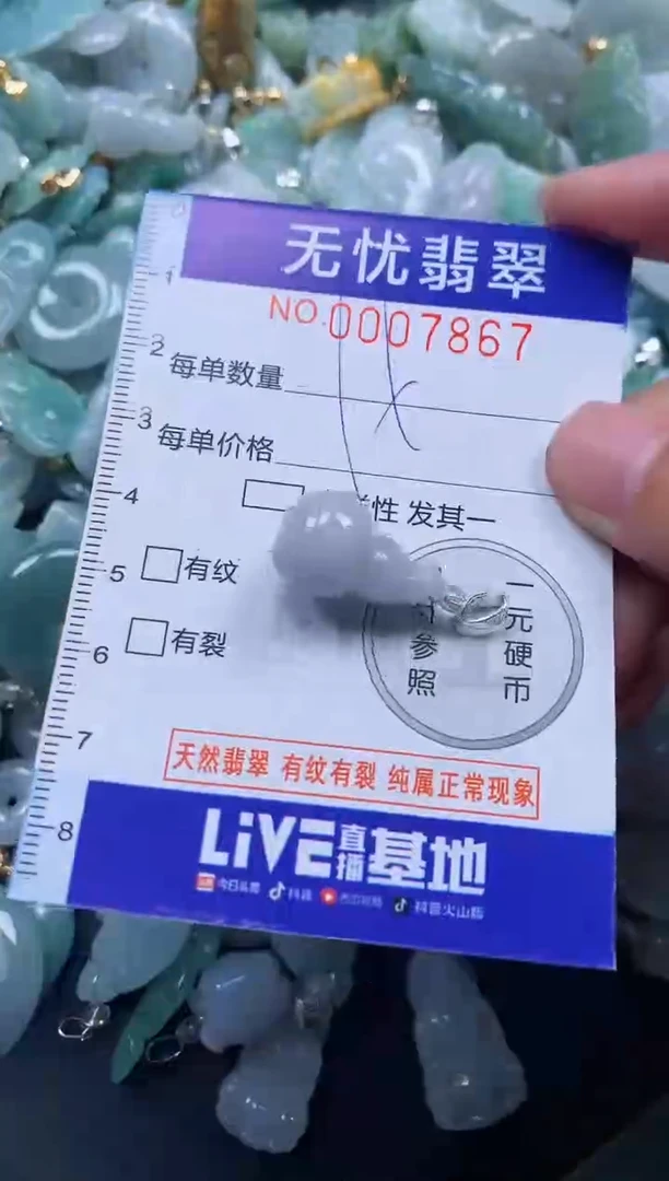 颈饰未镶嵌翡翠7867