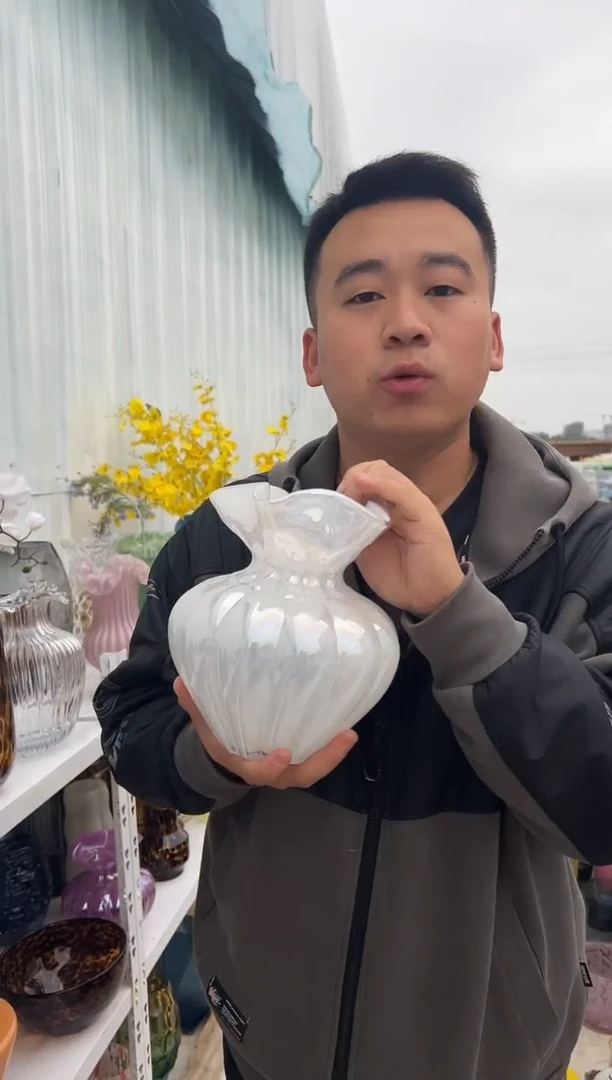 花瓶客厅餐桌插花装饰好物小