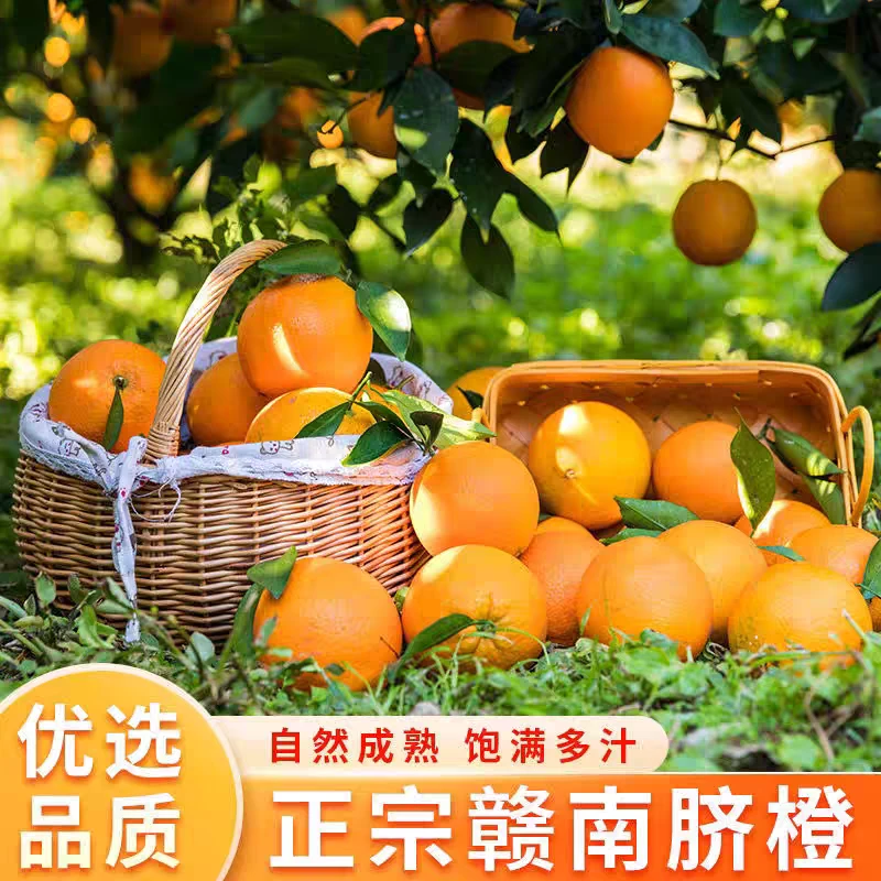 现摘新鲜赣南脐橙应季水果香甜多汁产地直发无籽化渣