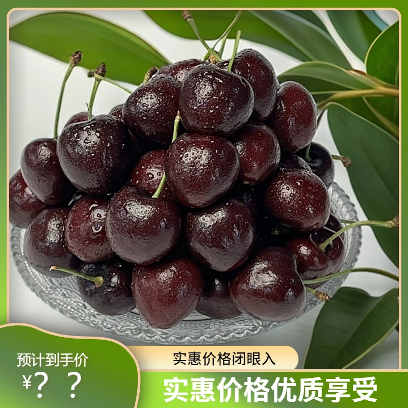 智利海运车厘子拉宾斯肉厚多汁5斤JJD原装包邮送到家 内附果径卡