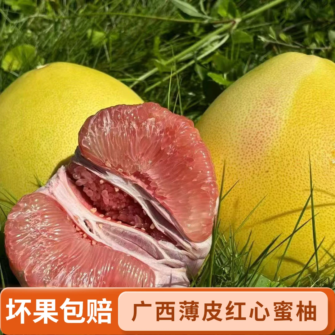 广西容县三红蜜柚红心柚老树头茬当季鲜果(坏果包赔)