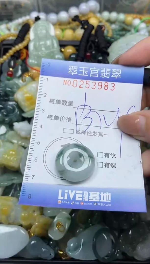 颈饰未镶嵌翡翠闪购C0253983