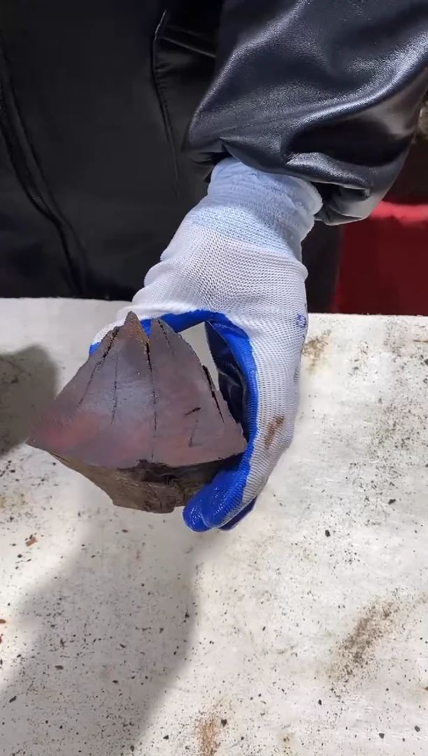 枣木【7】号原木段，尺寸随型