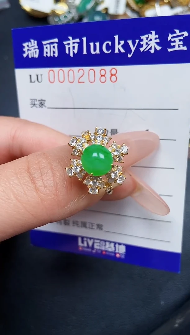 【闪购商品】翡翠颈饰银S925镶嵌2088