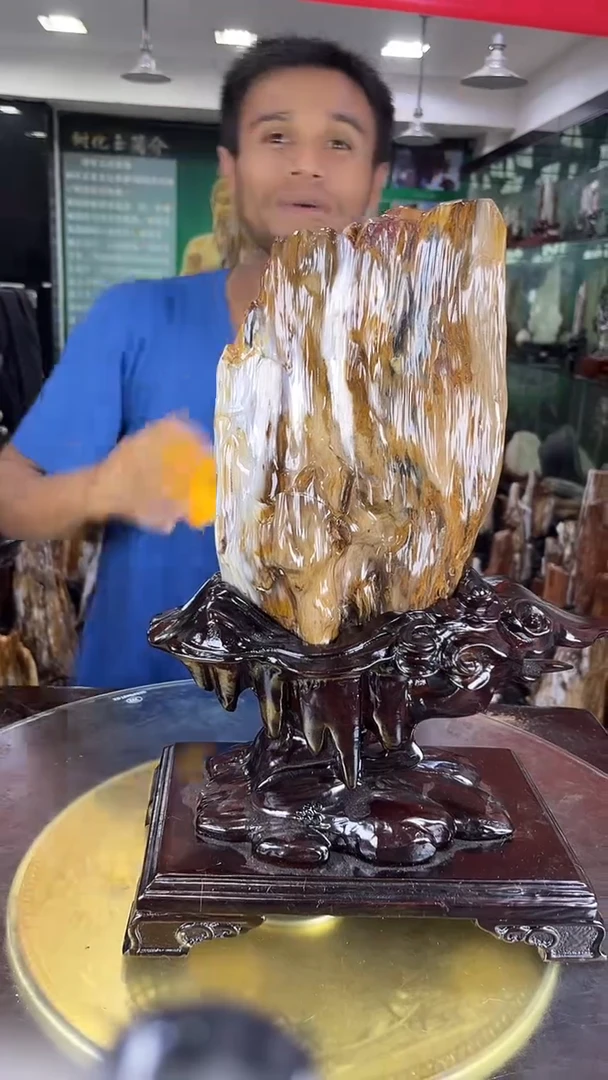未镶嵌珠宝奇石硅化玉缅甸天然树化玉摆件