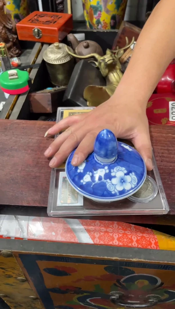 瓷片主播推荐精选好物