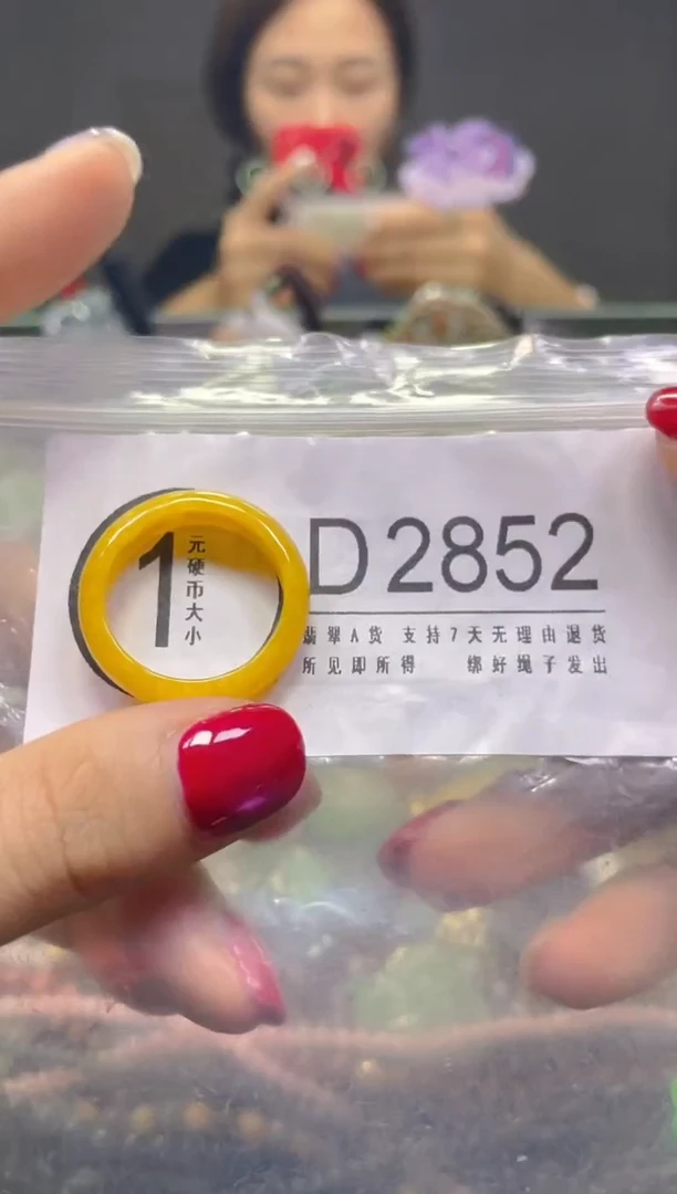 颈饰未镶嵌翡翠20.5/D/翡翠A货，一件也是批发价