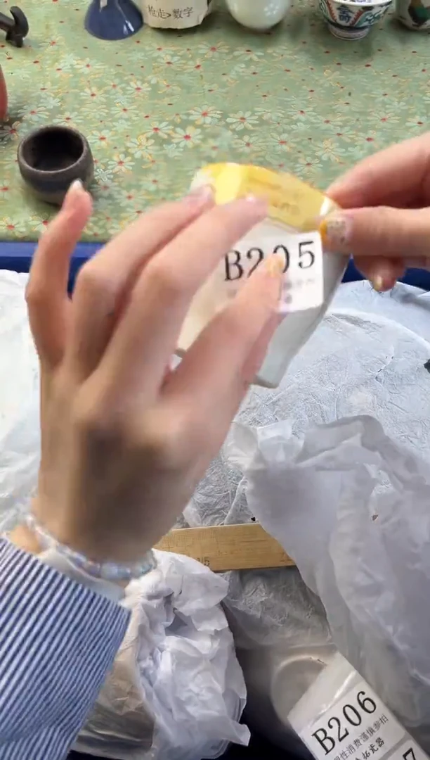 【闪购商品】瓷片          B205