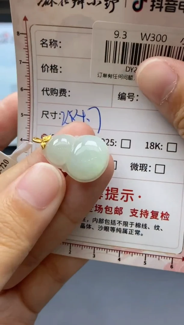 颈饰未镶嵌翡翠天然翡翠A货205