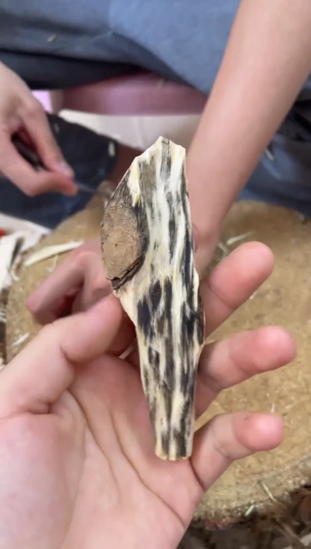 【闪购商品】沉香木沉香碎屑棋楠沉香 原料文创1