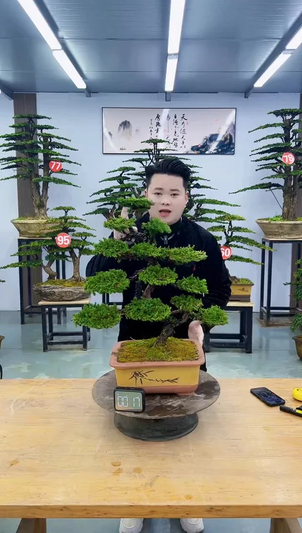 以实际为准000000