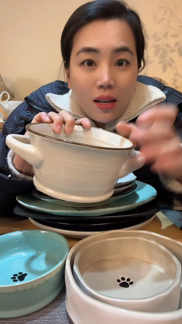 【闪购商品】瓷片瑕疵款  6英寸双耳碗 介意勿拍