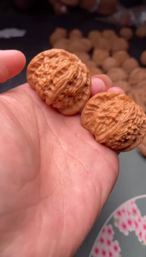 把件文玩核桃a205  白狮子 40尺 对归