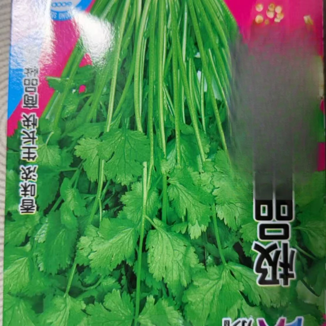 小园定制叶菜嘎嘎好