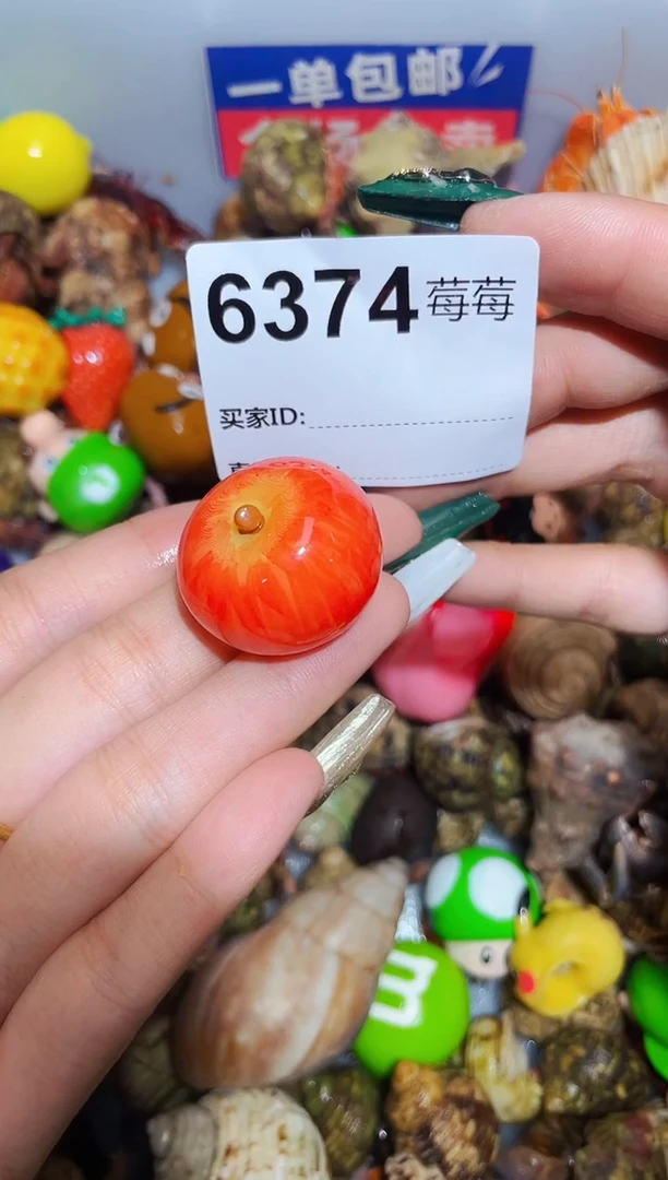 陌派甄选寄居蟹6374，1.8口
