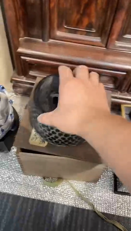 小***7发发发发发发发发发发发