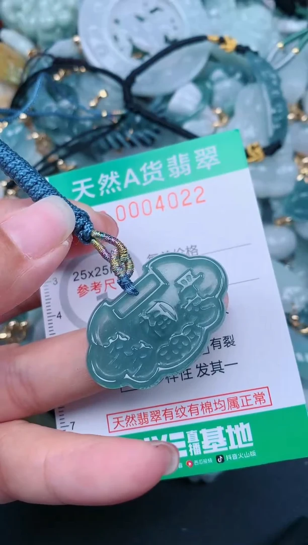 翡翠未镶嵌颈饰.0004022