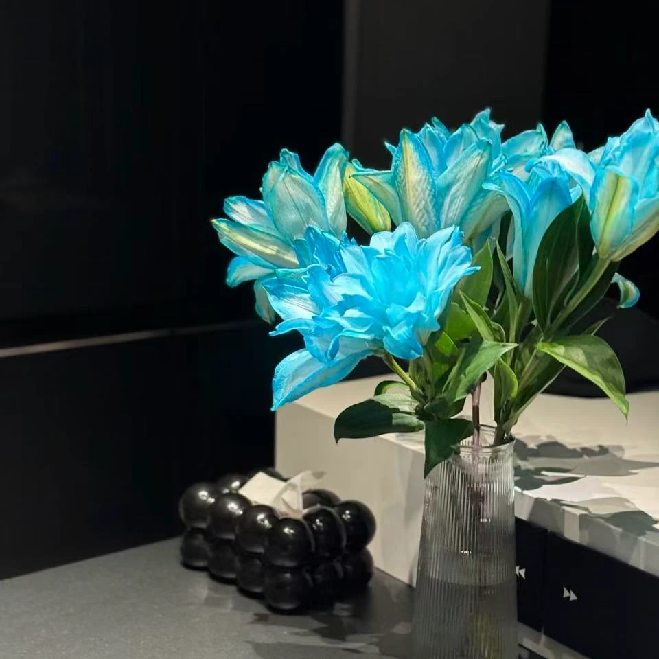 蓝色重瓣百合（吸色）   任意买2单送配草，3单送花瓶一个，升级快递