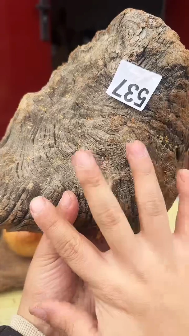 柏木（崖柏）太行陈化崖柏切片！随机（1单1片）537