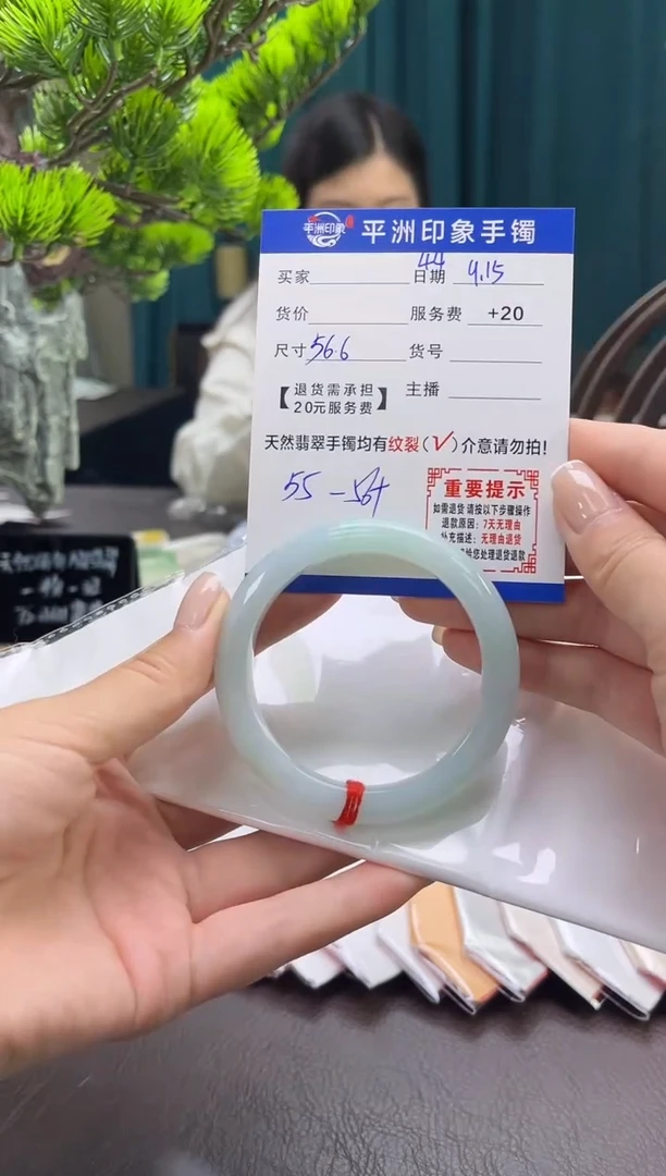 未镶嵌手镯翡翠（有鉴赏期）45