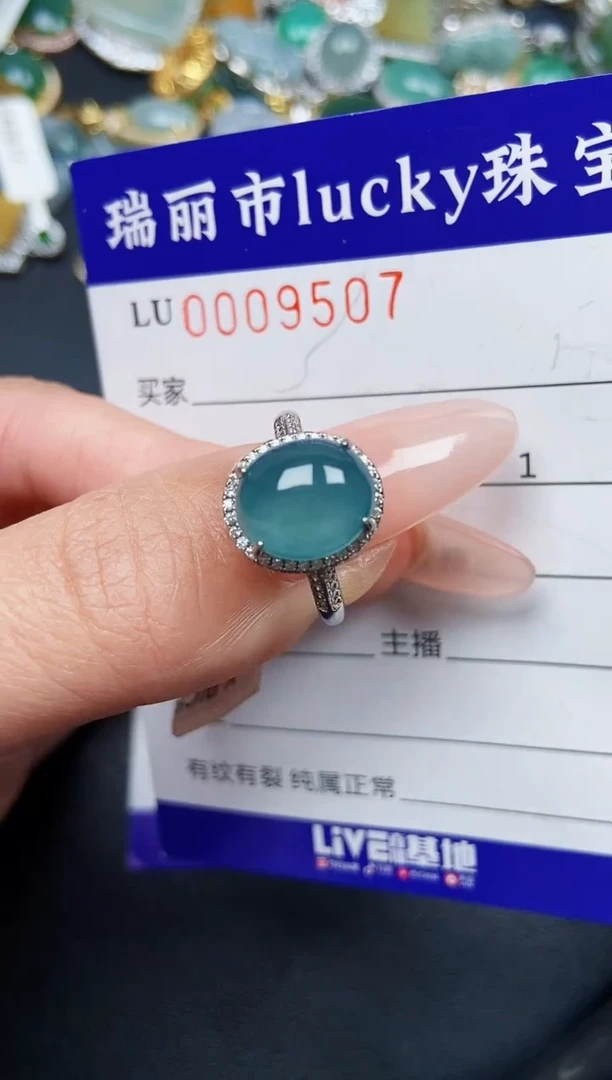 【闪购商品】翡翠颈饰银S925镶嵌9507