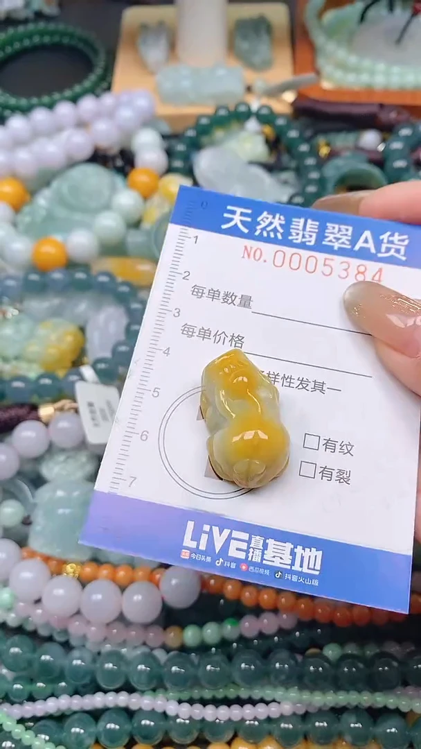 颈饰未镶嵌翡翠闪购0005384
