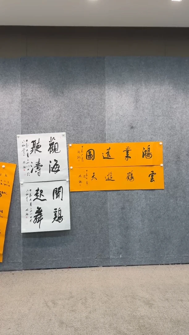 【闪购商品】书法pmw不二轩旗舰店书法ZYB5