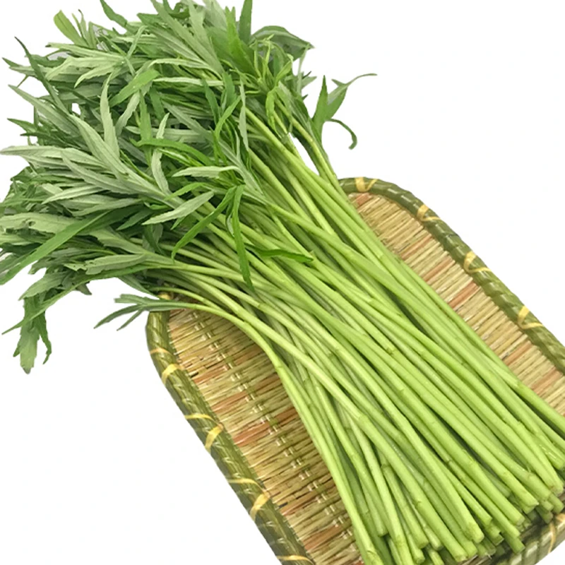 【散】芦蒿 约500g±50g/份