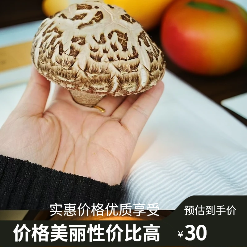 飞客小镇郝店黄关花菇鲜货朵圆肉厚